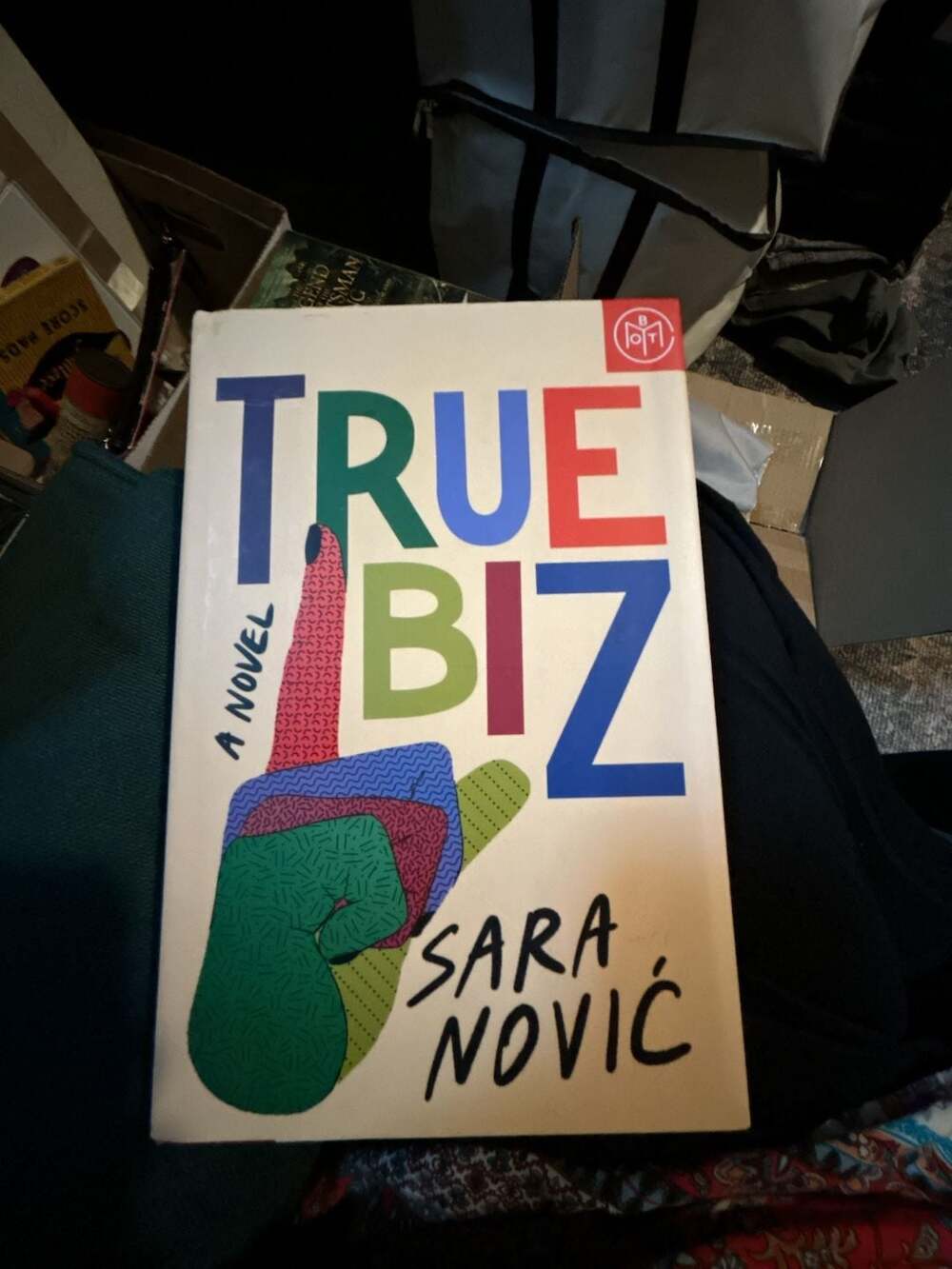True Biz: A Novel by Sara Novic Hardcover Book